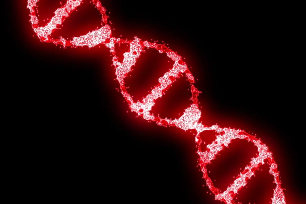 The Science Behind Your DNA: Why Muhdo Fighthub’s Algorithms Are Trusted by Athletes